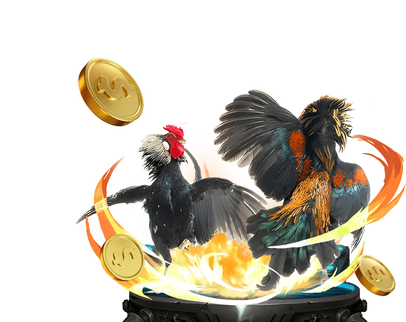 Giao diện nền tảng cá cược đá gà an toàn và hiện đại