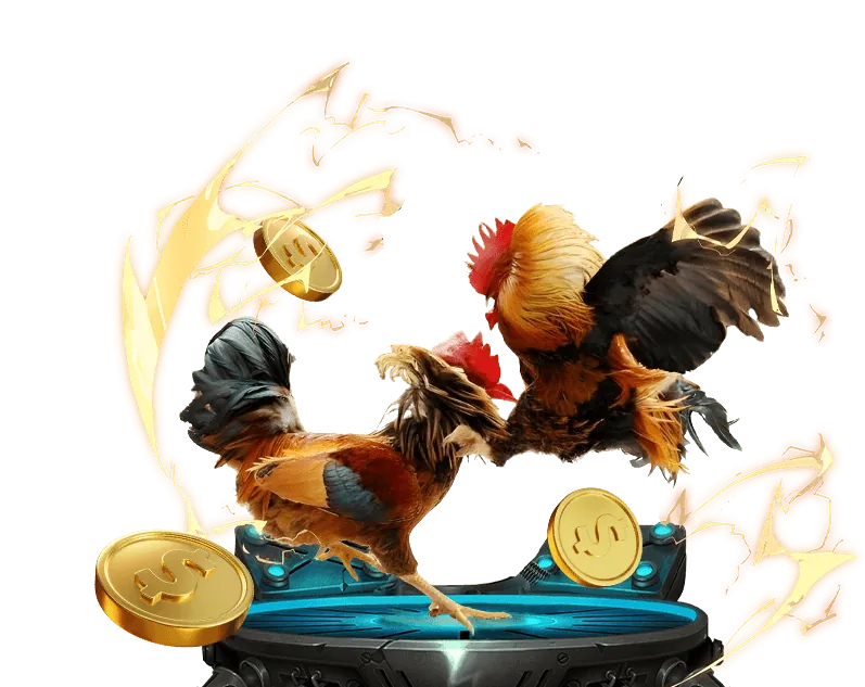 Hình ảnh một con gà chọi dũng mãnh